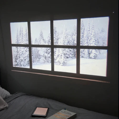 Novel Cast - Projector