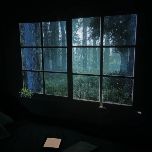 Novel Cast - Projector